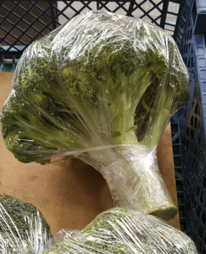 Brocoli (1kg)