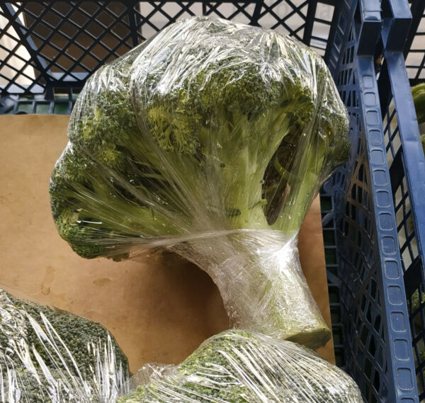 Brocoli (1kg)