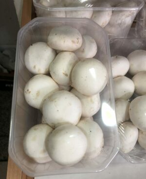 Champignon de Paris (les 500g)