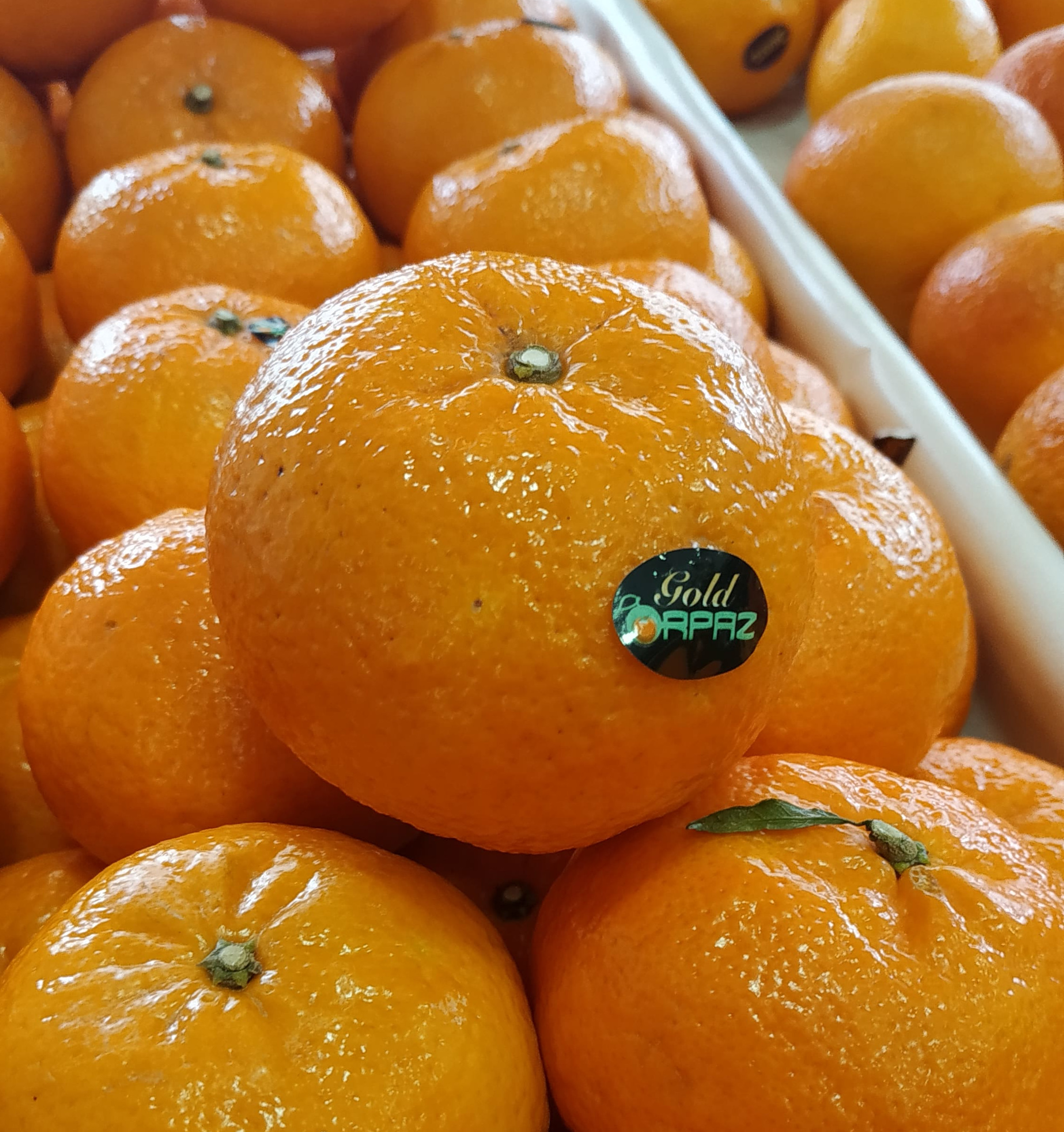 Clementine jaffa (le kg) - Primeurs Monge