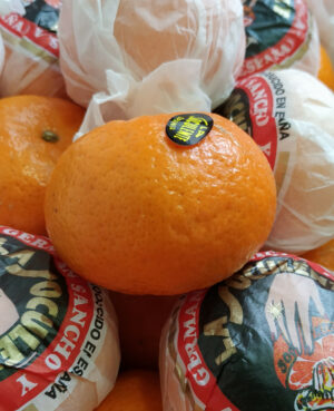 Clementine Soculente (1kg)