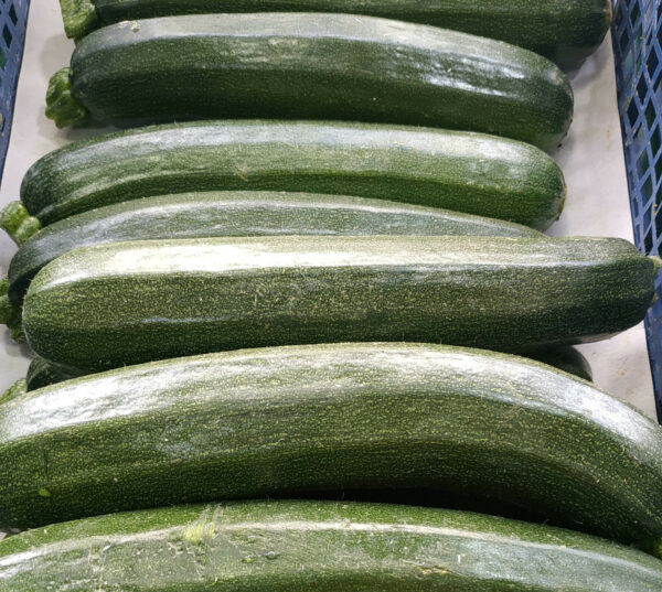 Courgette (1kg)