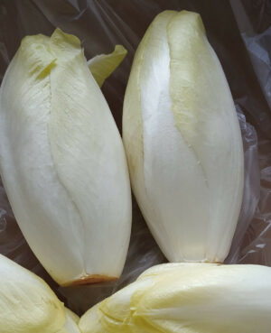 Endive (1kg)