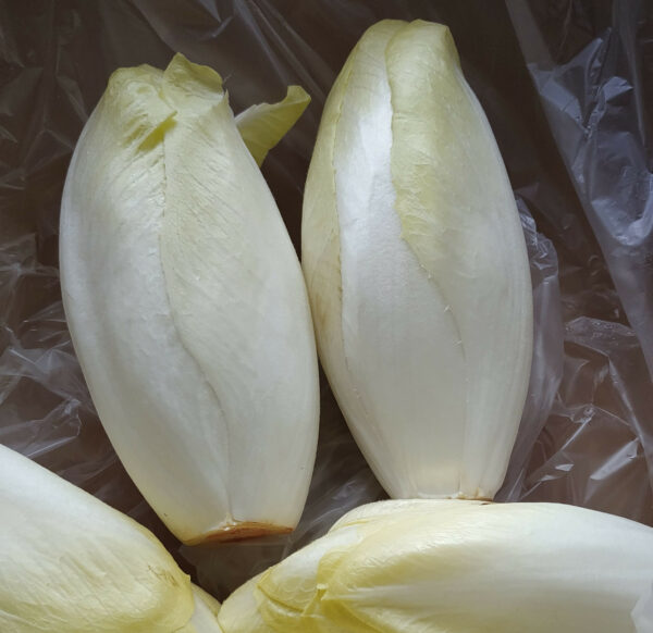 Endive (1kg)