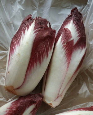 Endive violette (1kg)