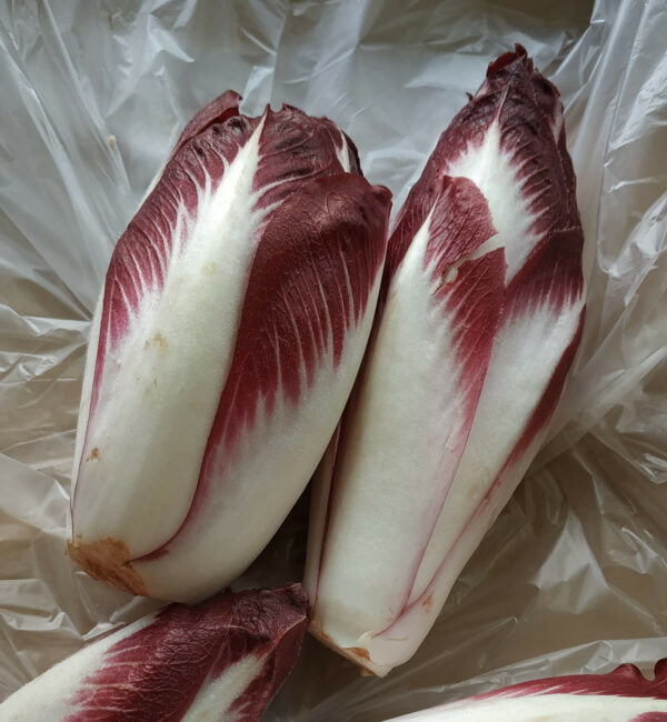 Endive violette (1kg)