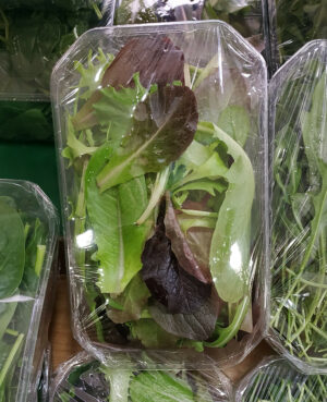 Mesclun la barquette