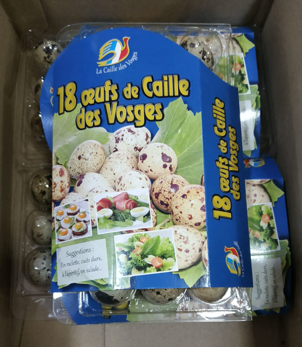 Oeufs caille