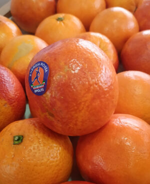 Orange Sanguine (le kg)
