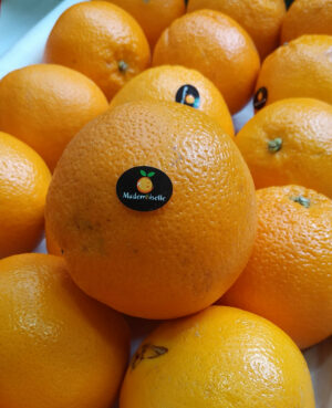 Orange de Table (1kg)