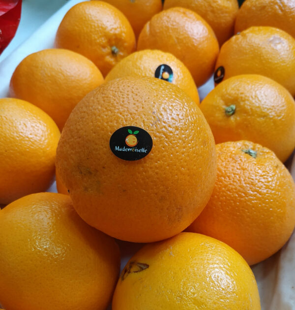 Orange de Table (1kg)