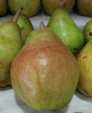 Poire Comice (1kg)