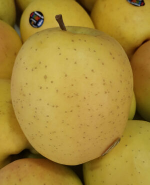 Pomme Tentation (1kg)