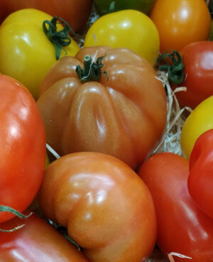 Tomate d'antan (1kg)