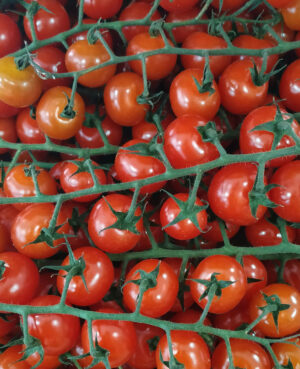 Tomate cerise en grappe (1kg)